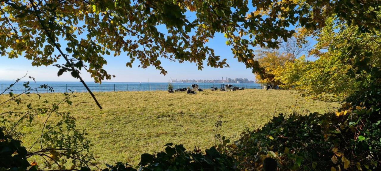 Landhaus Eibelesee Oberstaufen Eksteriør billede