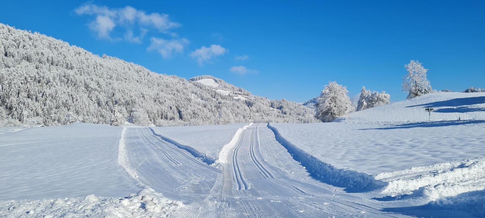 Landhaus Eibelesee Oberstaufen Eksteriør billede